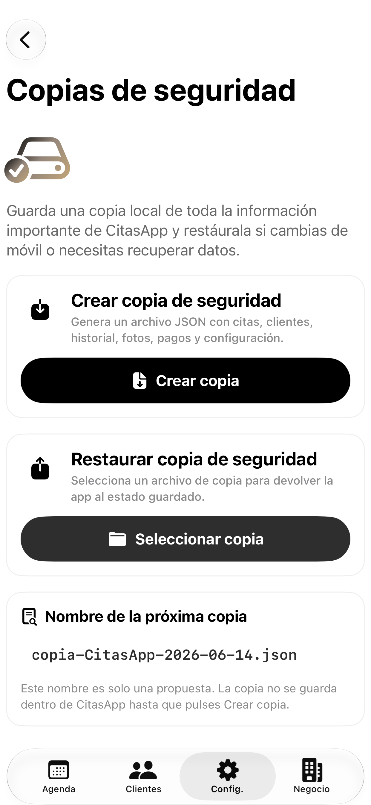 Copias de seguridad reales de CitasApp